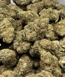 Alternative view of 🎁 – BLUEBERRY KUSH