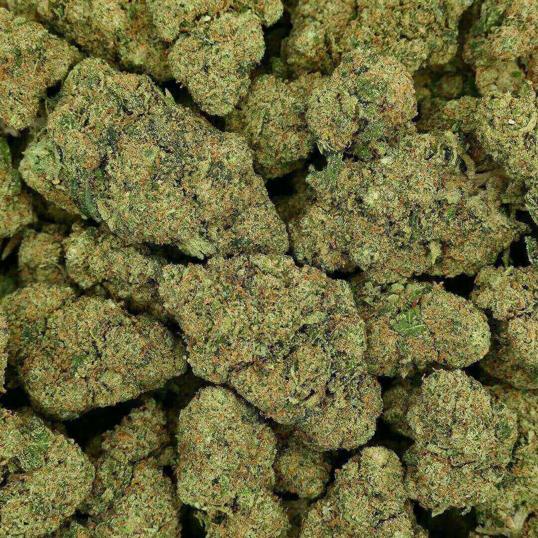 CALI 47