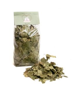 Alternative view of Feuilles de bouleau