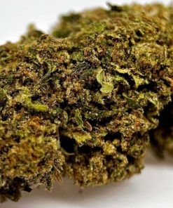 🎁 – SUPER ROYAL HAZE