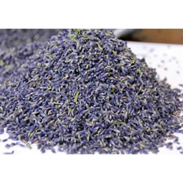 Lavande Séchées – 100grs (lot de 6 sachets)