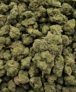 Alternative view of SOUR DIESEL