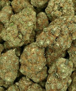 Alternative view of 🎁 – ZOMBIE KUSH (hydroponique)