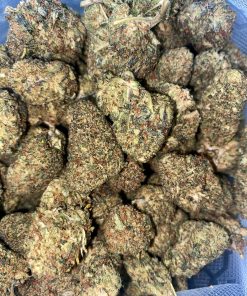 AMERICAN HAZE
