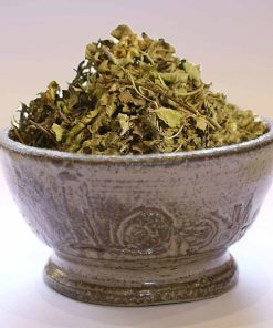 Tulsi Bio (Basilic sacré bio)
